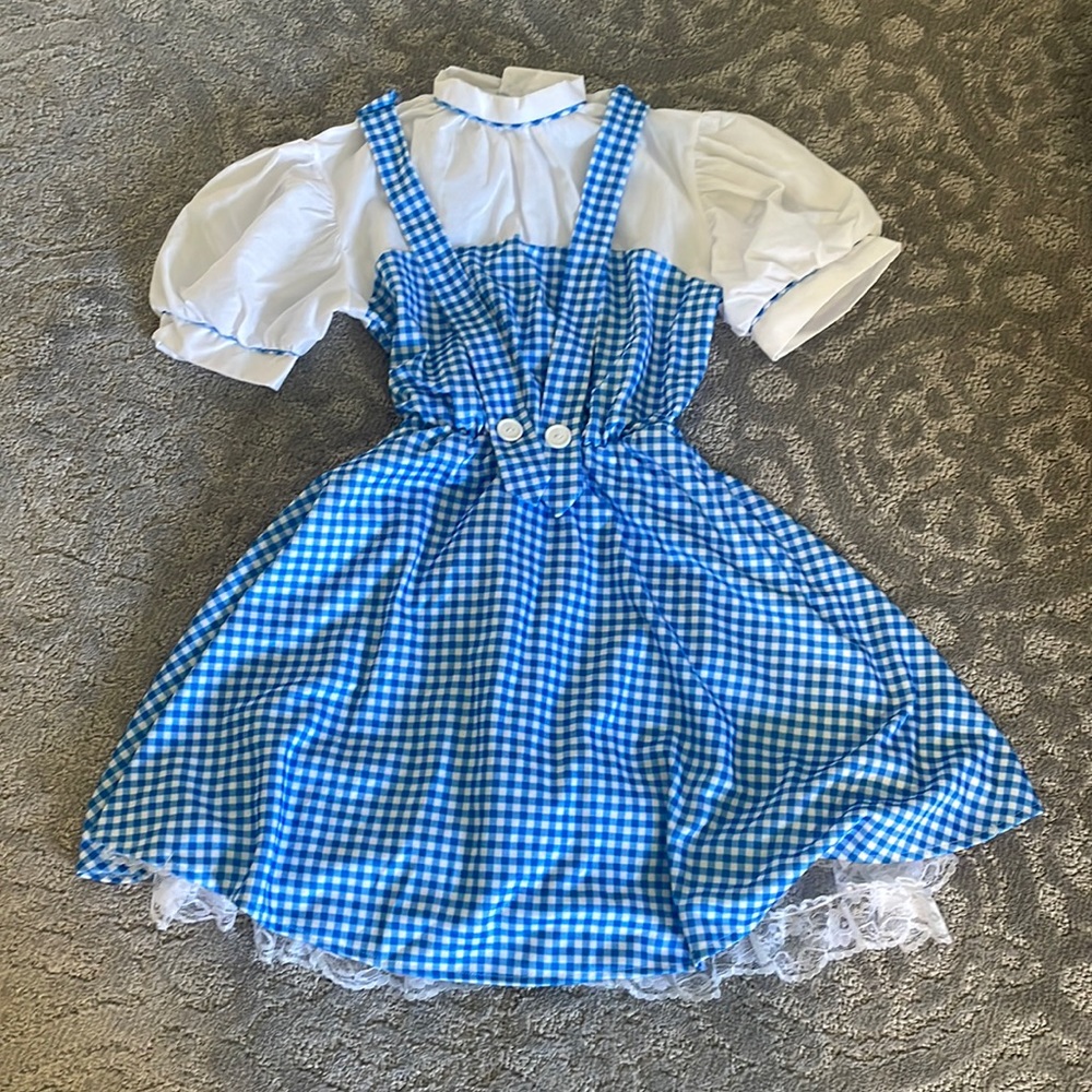 Wizard of OZ Dorothy Costume adult small